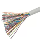 Telecommunication Cables 50pairs Copper Cat3 Multipair UTP Cable Projects Ethernet Cabling