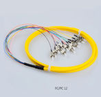 Telecom Standard FC Pigtails FC/UPC SM  Fiber Patch Cords 9/125 12Cores  Fiber Pigtails 12 Core Patch Cables