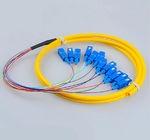 Telecom Standard SC Pigtails SC/UPC SM  Fiber Patch Cords 9/125 12Cores  Fiber Pigtails 12 Core Patch Cables