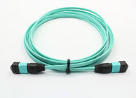Telecom Standard Ribbon Optical Fiber Patch Cords OM3 OM4 Simplex Duplex Ribbon Optical Fiber Patch Cables